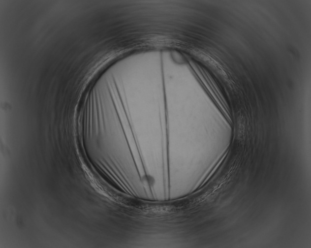 X0000090481039200708031120