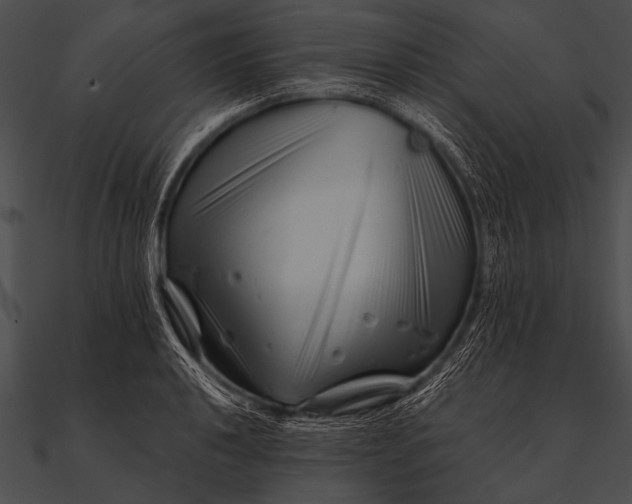 X0000090481040200708031120