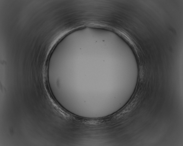X0000090481048200708031120