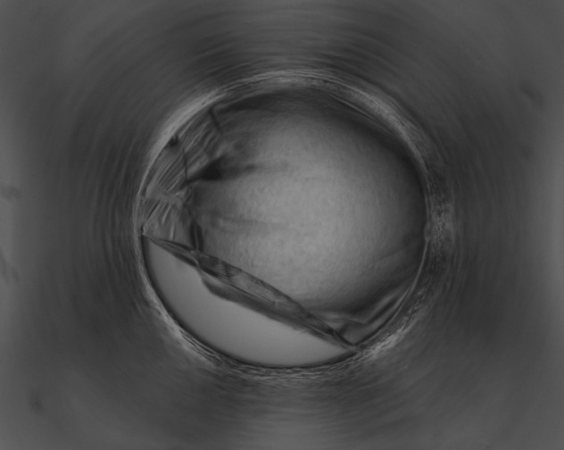X0000090481050200708031120