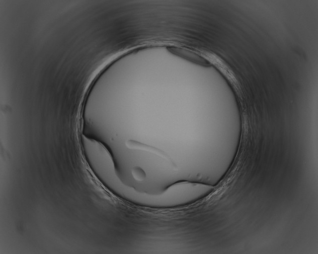 X0000090481052200708031120