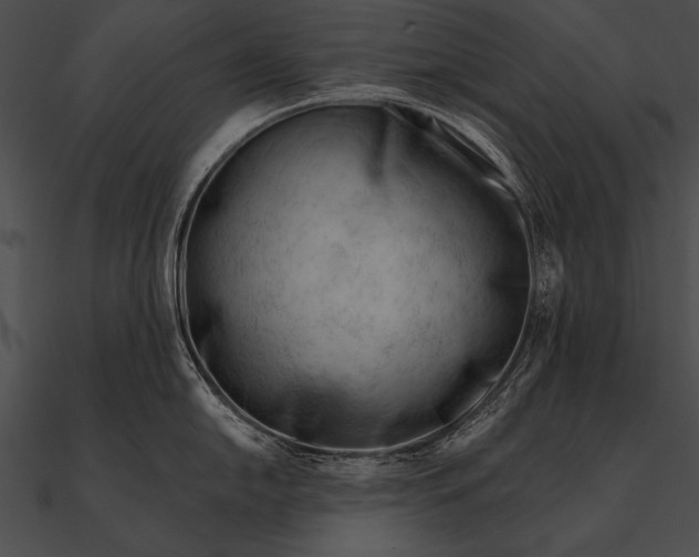 X0000090481054200708031120
