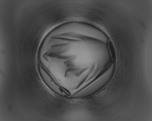 X0000090481056200708031120