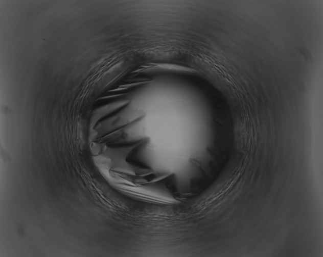 X0000090481058200708031120