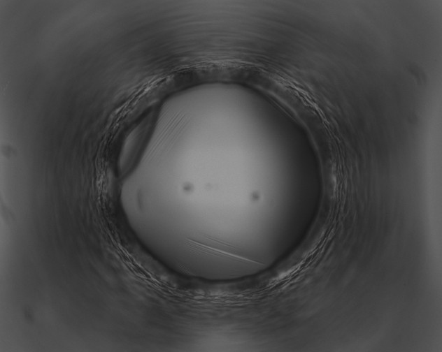 X0000090481061200708031120