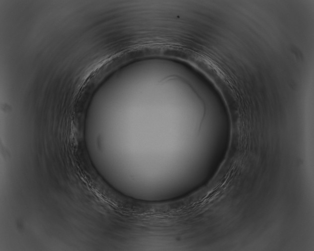 X0000090481064200708031120