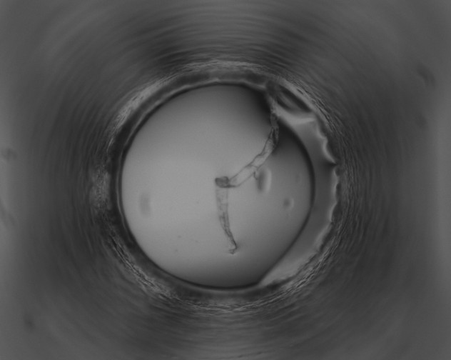 X0000090481066200708031120