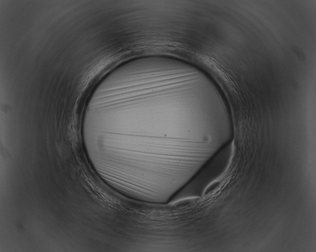 X0000090481071200708031119