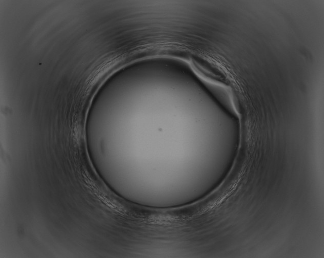 X0000090481073200708031119
