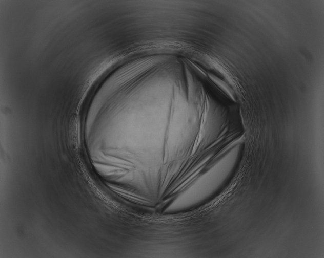 X0000090481079200708031119