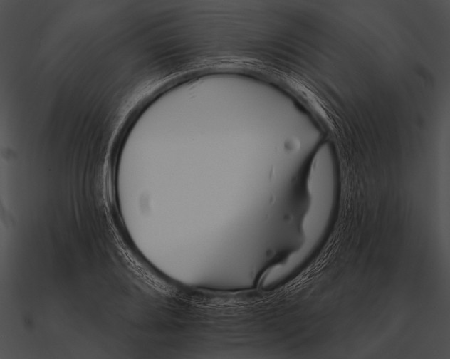 X0000090481080200708031119