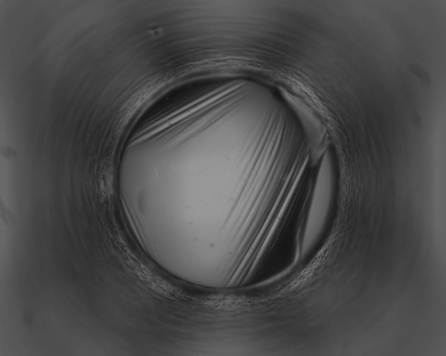 X0000090481081200708031119