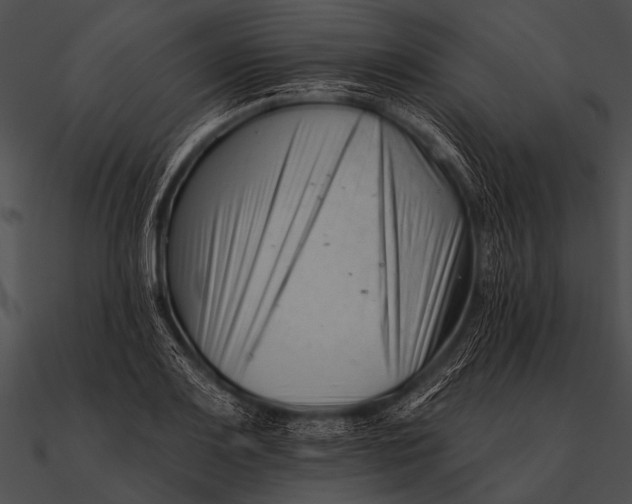X0000090481083200708031119
