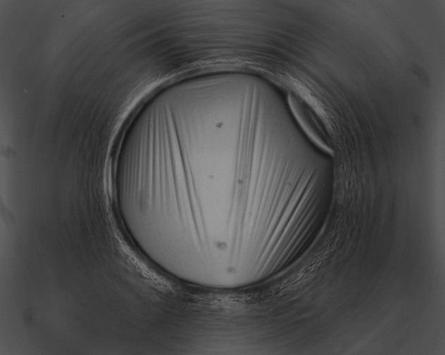 X0000090481084200708031119
