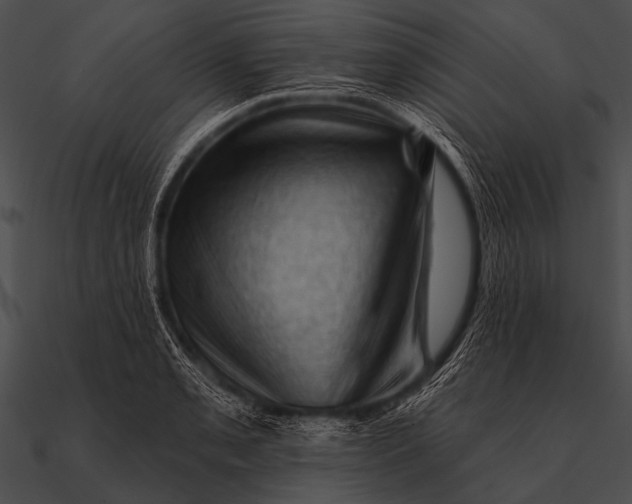 X0000090481085200708031119