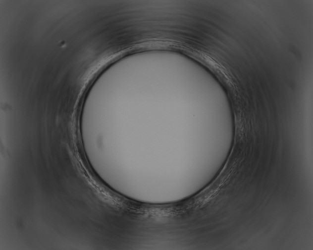 X0000090481086200708031119