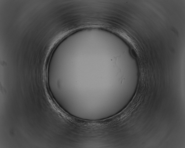 X0000090481088200708031119