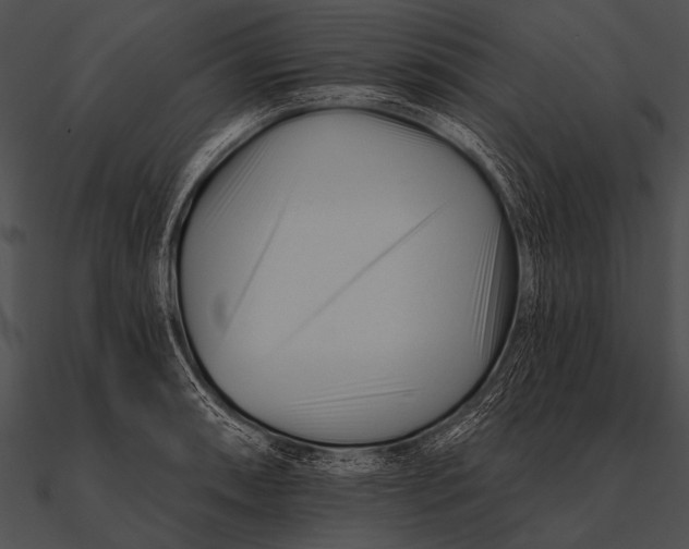 X0000090481090200708031119