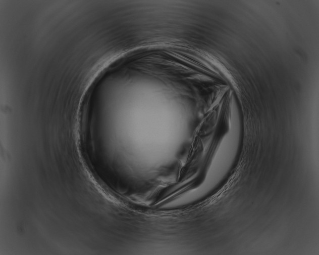 X0000090481093200708031119