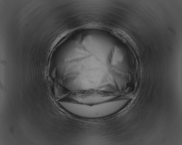 X0000090481097200708031119
