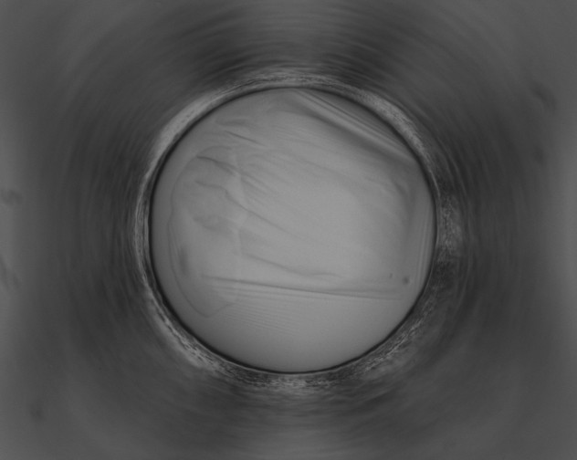 X0000090481098200708031119