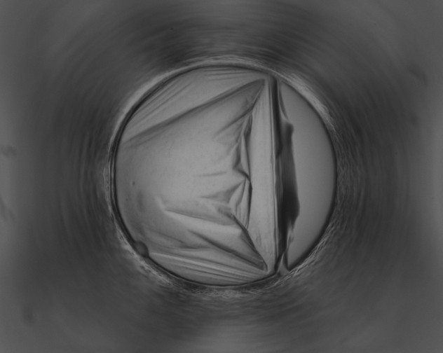 X0000090481100200708031119