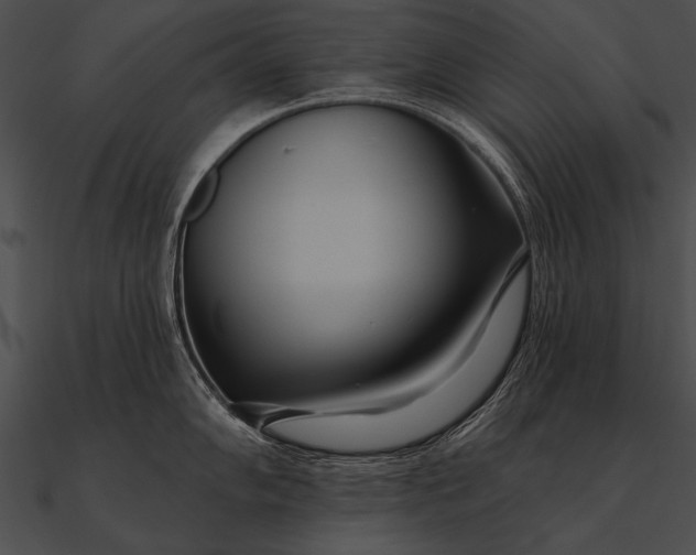 X0000090481102200708031119