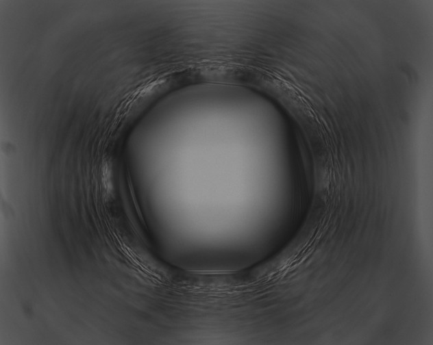 X0000090481106200708031118