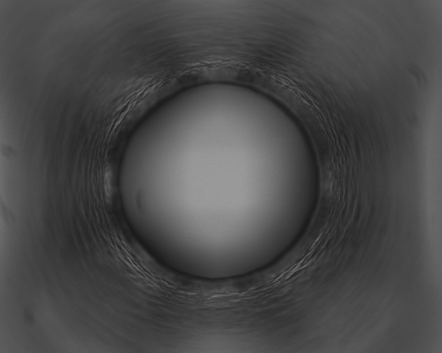 X0000090481108200708031118