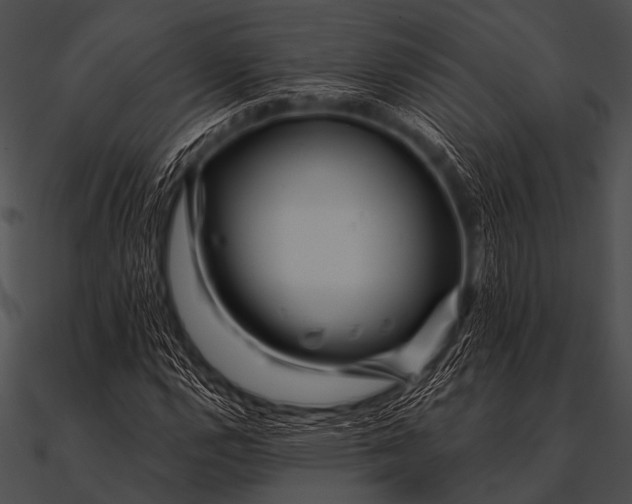 X0000090481112200708031119