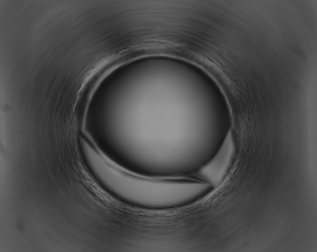 X0000090481114200708031119