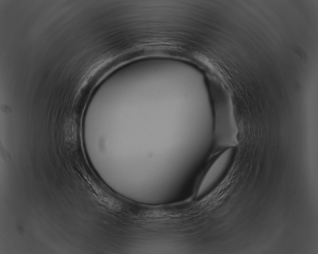 X0000090481115200708031119