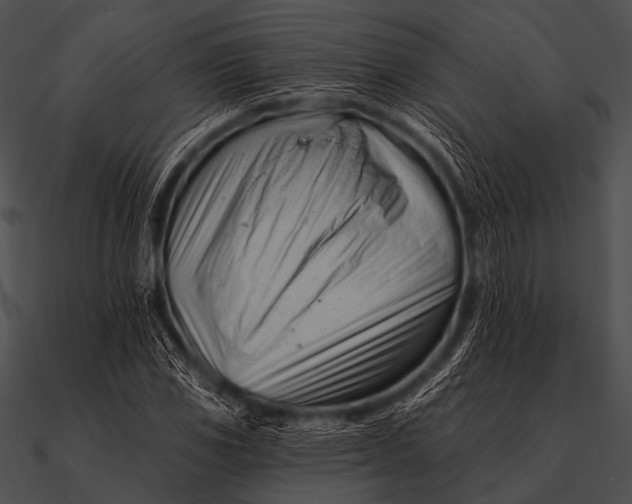 X0000090481117200708031119