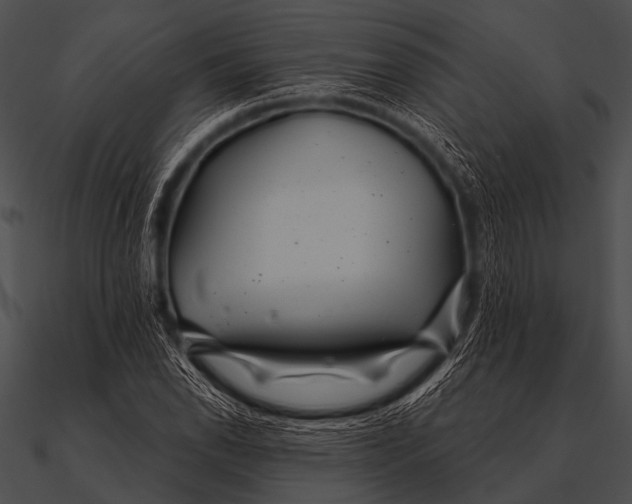 X0000090481118200708031119