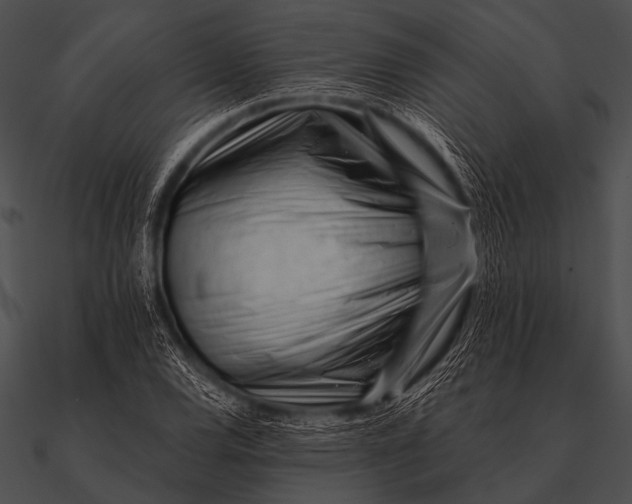 X0000090481120200708031119