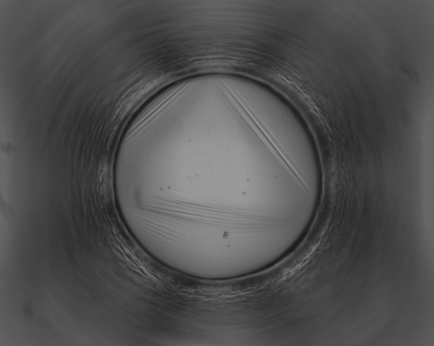 X0000090481121200708031119