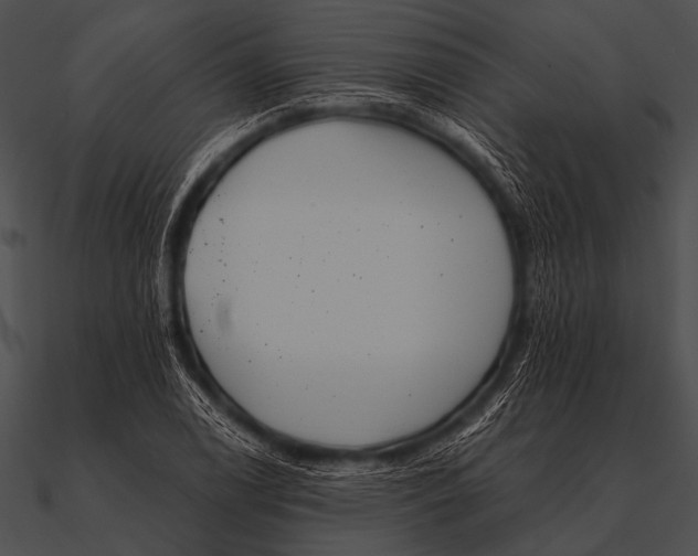 X0000090481122200708031119