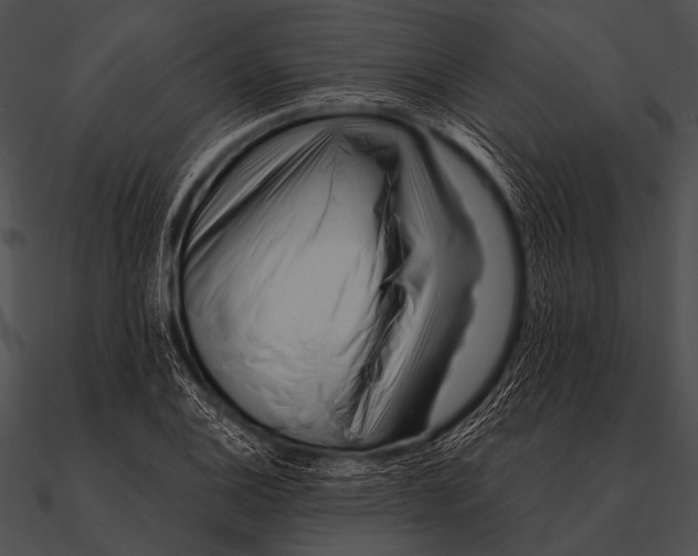 X0000090481124200708031119