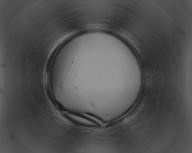 X0000090481125200708031119