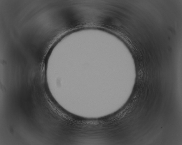 X0000090481126200708031119