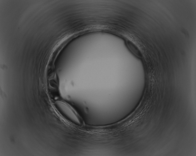 X0000090481127200708031119
