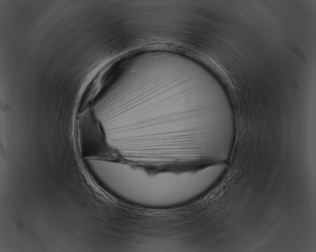 X0000090481128200708031119