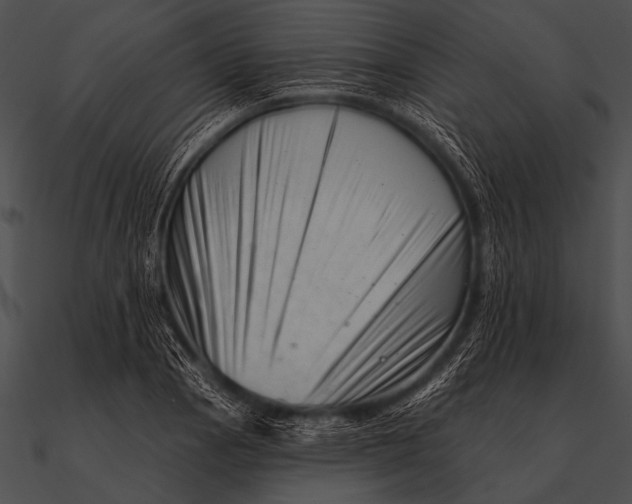 X0000090481129200708031119