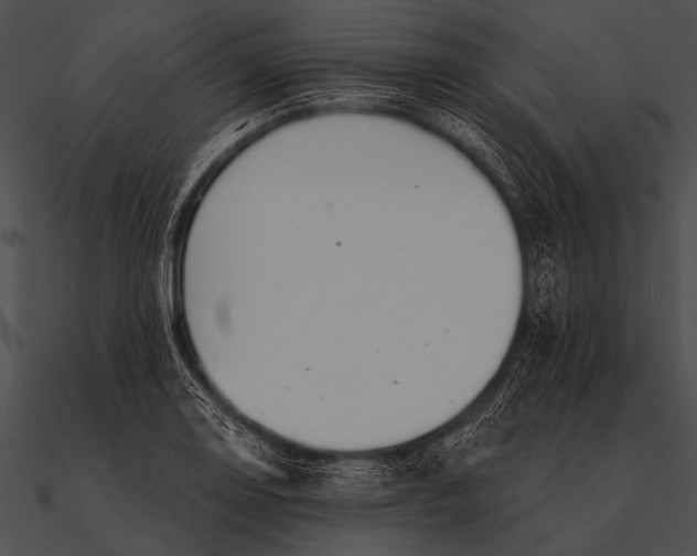 X0000090481130200708031119
