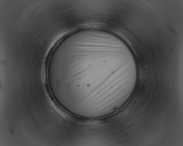 X0000090481131200708031119