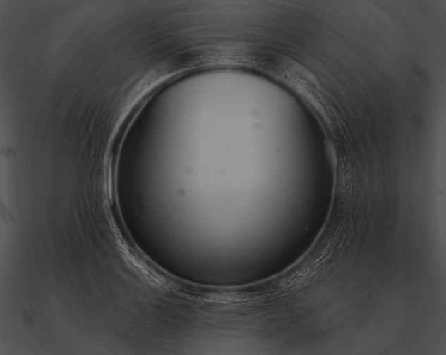 X0000090481132200708031119