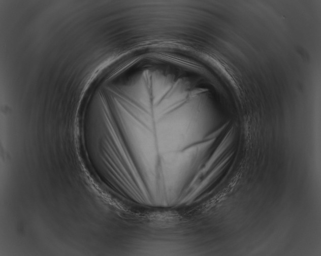 X0000090481133200708031119