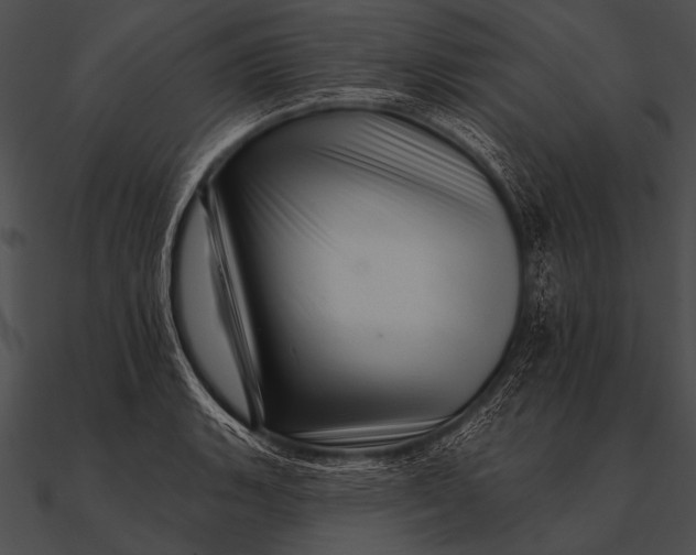 X0000090481135200708031119