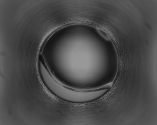 X0000090481136200708031119