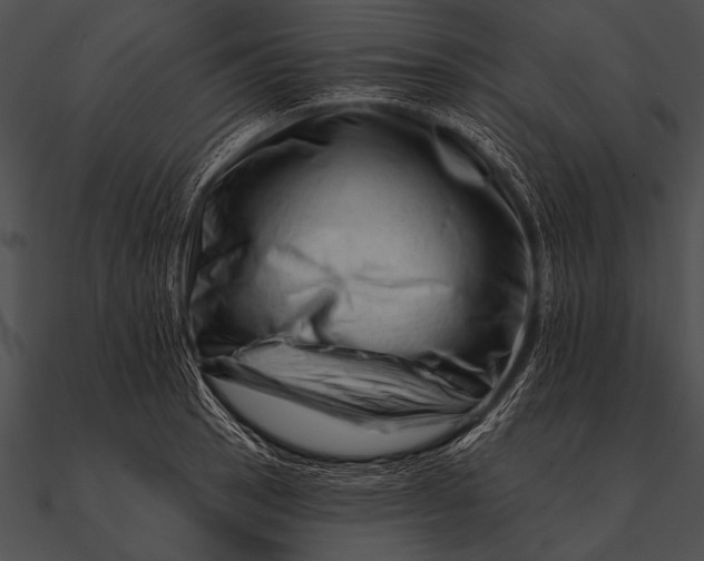 X0000090481137200708031119